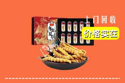 宝鸡市金台回收冬虫夏草